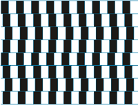 Illusion lignes